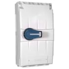 Beromet - COFFRET INTERRUPTEUR SECTIONNEUR 200A