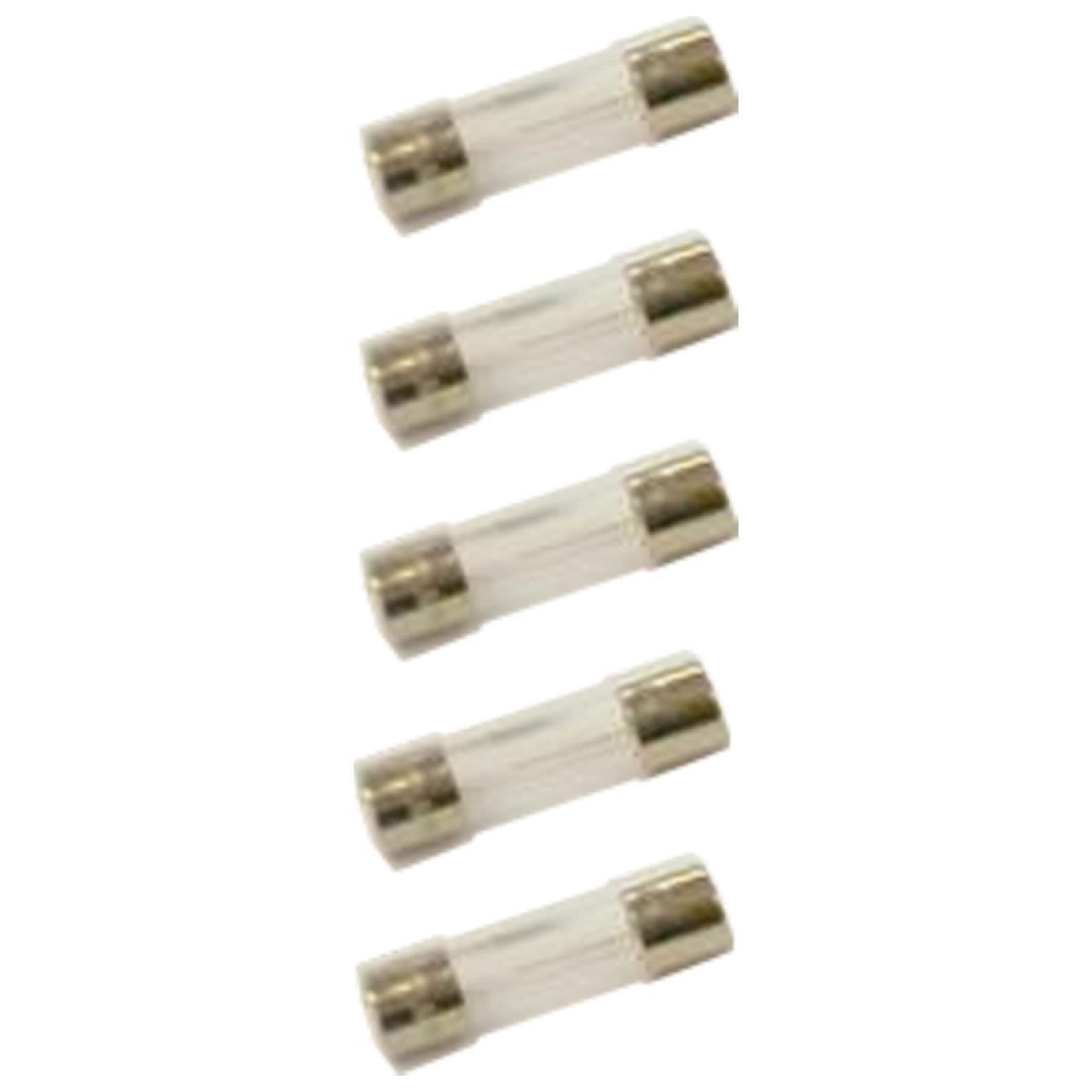 Thermor - Fusibles 100 milli-ampères sachet de 5 pièces