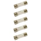 Thermor - Fusibles 100 milli-ampères sachet de 5 pièces