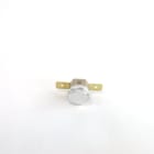 Thermor - pièce de rechange origine fabricant : coupe circuit thermique 100 deg