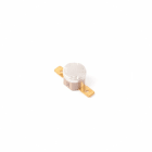 Thermor - pièce de rechange origine fabricant : coupe circuit thermique 120