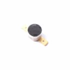 Thermor - pièce de rechange origine fabricant : coupe circuit thermique 75d vert