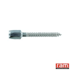 Ram - BTE 50 PITONS DE REHABILITATION M8
