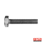 Ram - BP 10 VIS T. HEX INOX 16 x 60