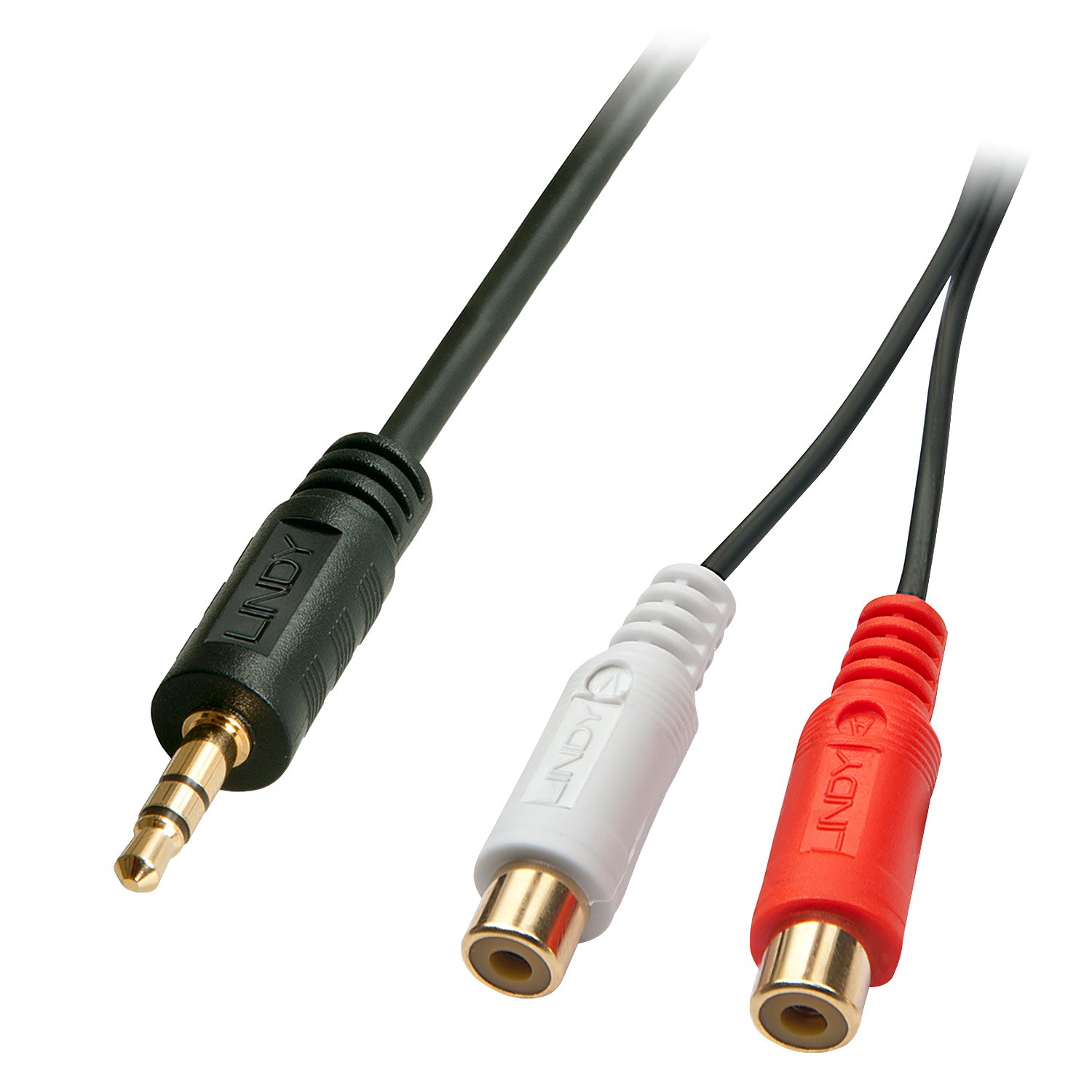 Lindy - Câble audio Premium 2 x RCA (Cinch) femelle vers jack 3,5mm mâle, 25cm