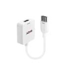 Lindy - Câble de conversion 4k30Hz HDMI vers DisplayPort