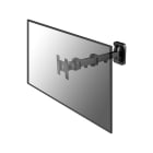 Lindy - Support mural multijoint pour écran LCD, noir
