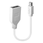 Lindy - Câble adaptateur Mini DP (M) vers DP (F) Premium, blindé