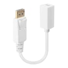 Lindy - Câble adaptateur DP (DisplayPort) vers Mini DisplayPort femelle