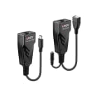 Lindy - Extender USB 2.0 Type C Cat.6, 100m