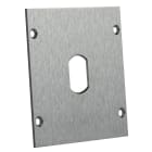 Noralsy - Face inox brossée pour lecteur de proximité format T25