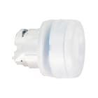 Schneider Electric - Harmony tête de bouton poussoir + capuchon IP69K - Ø22 - blanc