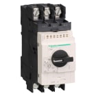 Schneider Electric - TeSys GV - Disjoncteur moteur 40a cosses fermees
