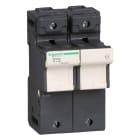 Schneider Electric - TeSys - porte-fusible - 2P - 125A - pour fusible 22x58mm