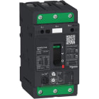 Schneider Electric - TeSys GV - disjoncteur magnéto-thermique - In 80A - 25kA - Everlink