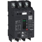 Schneider Electric - TeSys GV - disjoncteur magnéto-thermique - In 80A - 100kA - cosses fermées