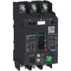 Schneider Electric - TeSys GV - disjoncteur magnéto-thermique - In 80A - 50kA - cosses fermées