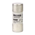 Schneider Electric - TeSys DF - cartouche fusible NFC 22x58mm cylindrique - gG 25A - sans voyant