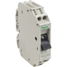 Schneider Electric - TeSys GB2-CD - disjoncteur pour circuit de contrôle - 1A - 1P+N - 1d