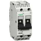 Schneider Electric - TeSys GB2-DB - disjoncteur pour circuit de contrôle - 2A - 2P - 2d