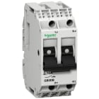 Schneider Electric - TeSys GB2-DB - disjoncteur pour circuit de contrôle - 6A - 2P - 2d