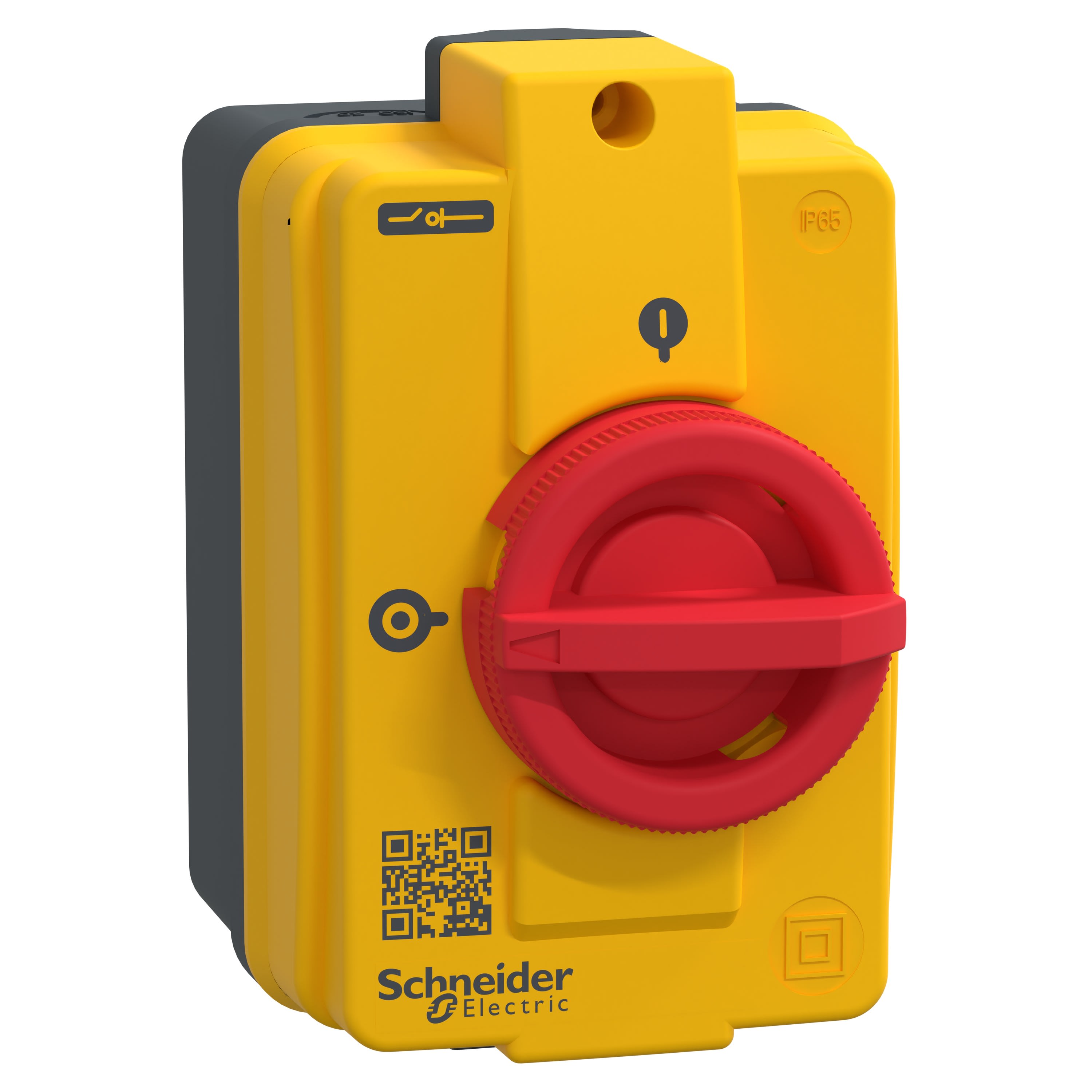 Schneider Electric - TeSys VCFN - interr.-sectionneur en coffret - 3P - 10A