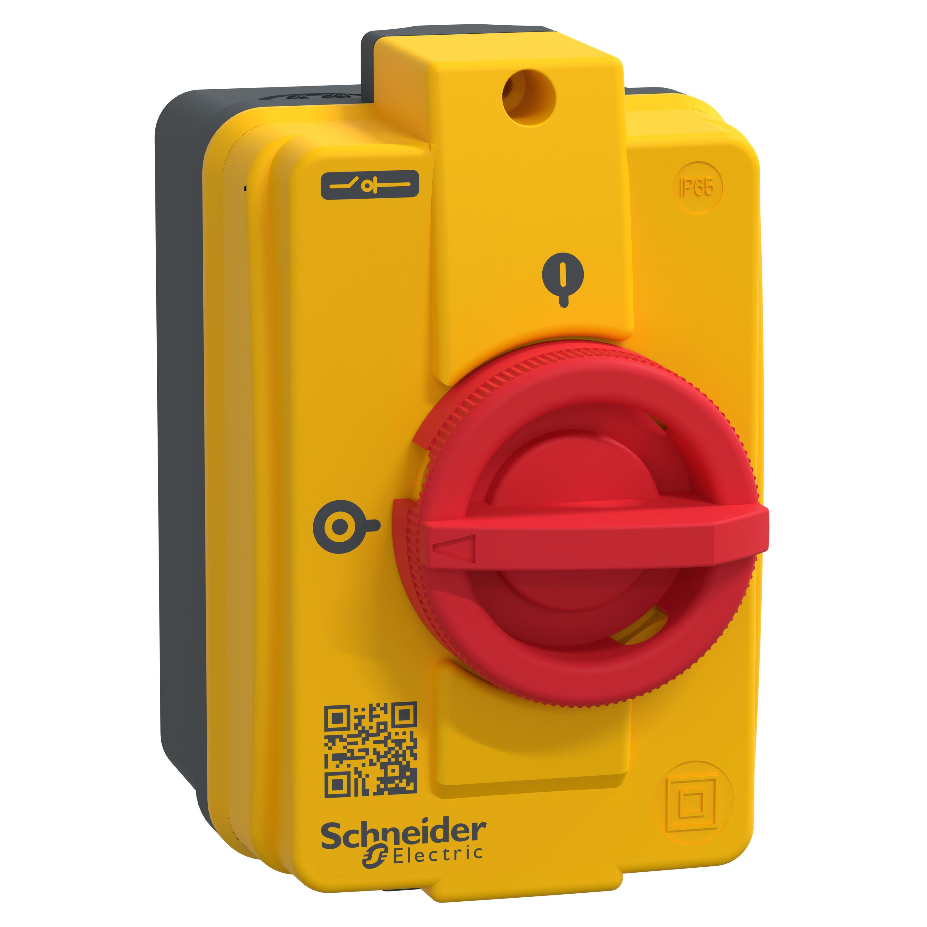 Schneider Electric - TeSys VCF - interr.-sectionneur en coffret - 3P- 20A