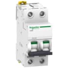 Schneider Electric - Acti9 iC60N - Disjoncteur - 2P - 2A - Courbe D - 400Vca - 6000A/50kA