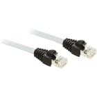 Schneider Electric - câble Ethernet - cordon droit - blindé renforcé - RJ45 - 1 m - CE
