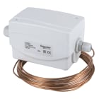 Schneider Electric - Thermostat antigeL L=6m réarmement manuel