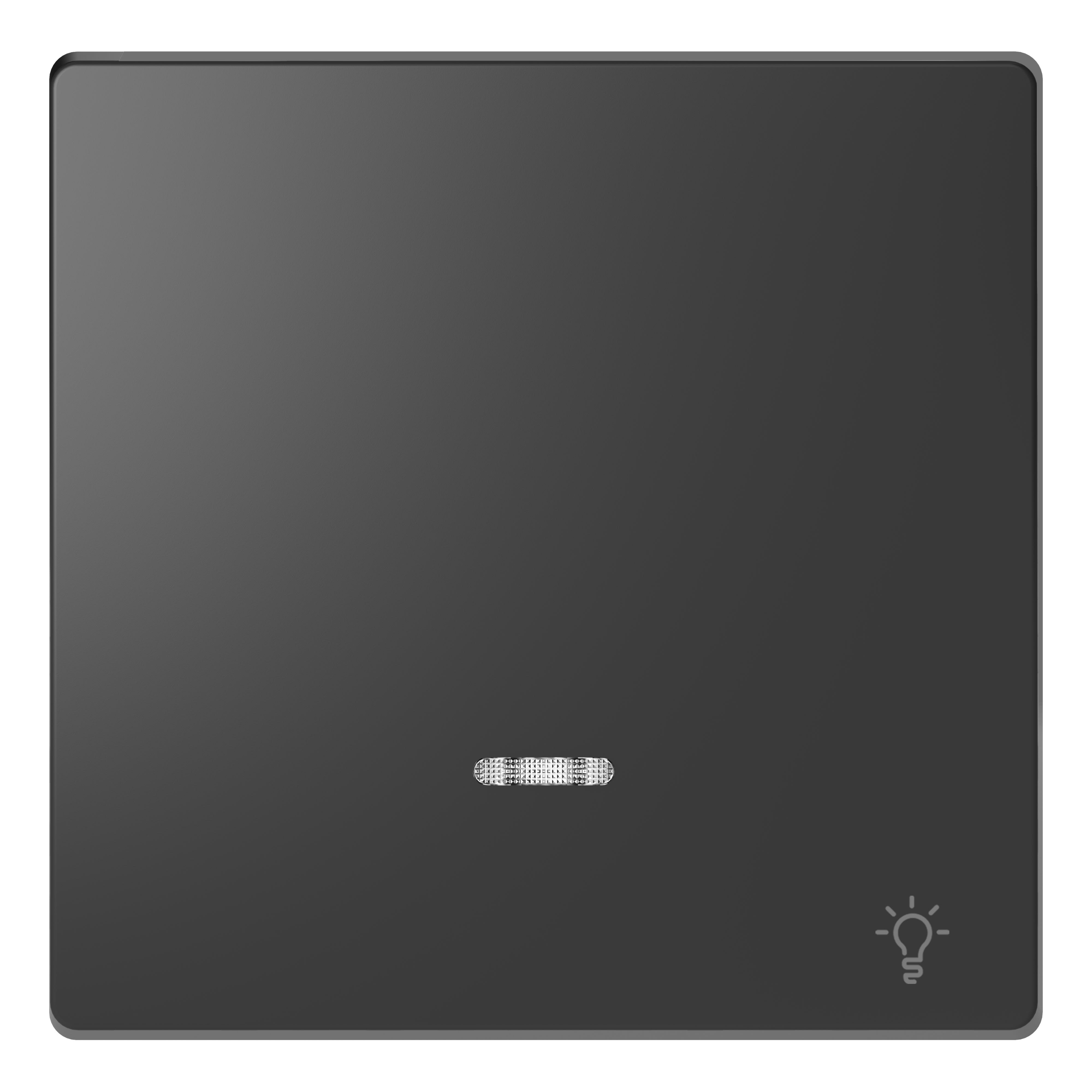 Schneider Electric - D-Life - enjoliveur pour commande simple voyant et picto lampe - anthracite