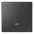 Schneider Electric - D-Life - enjoliveur pour commande simple voyant et picto lampe - anthracite