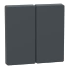 Schneider Electric - D-Life - enjoliveur pour commande double sans marquage - anthracite