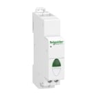 Schneider Electric - Reconditionné - Acti9, iIL voyant lumineux simple vert 110...230VCA