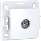 Schneider Electric - Reconditionné - Alréa, Prise TV simple mâle blindée, 1 sortie, blanc polaire