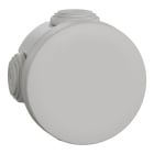 Schneider Electric - Reconditionné - Mureva Box, boite de dérivation IP55 + embouts diamètre 60, gris