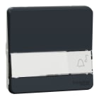 Schneider Electric - Reconditionné -MurevaStyl Bouton poussoir porte-etiquette compos. IP55 IK08 gris