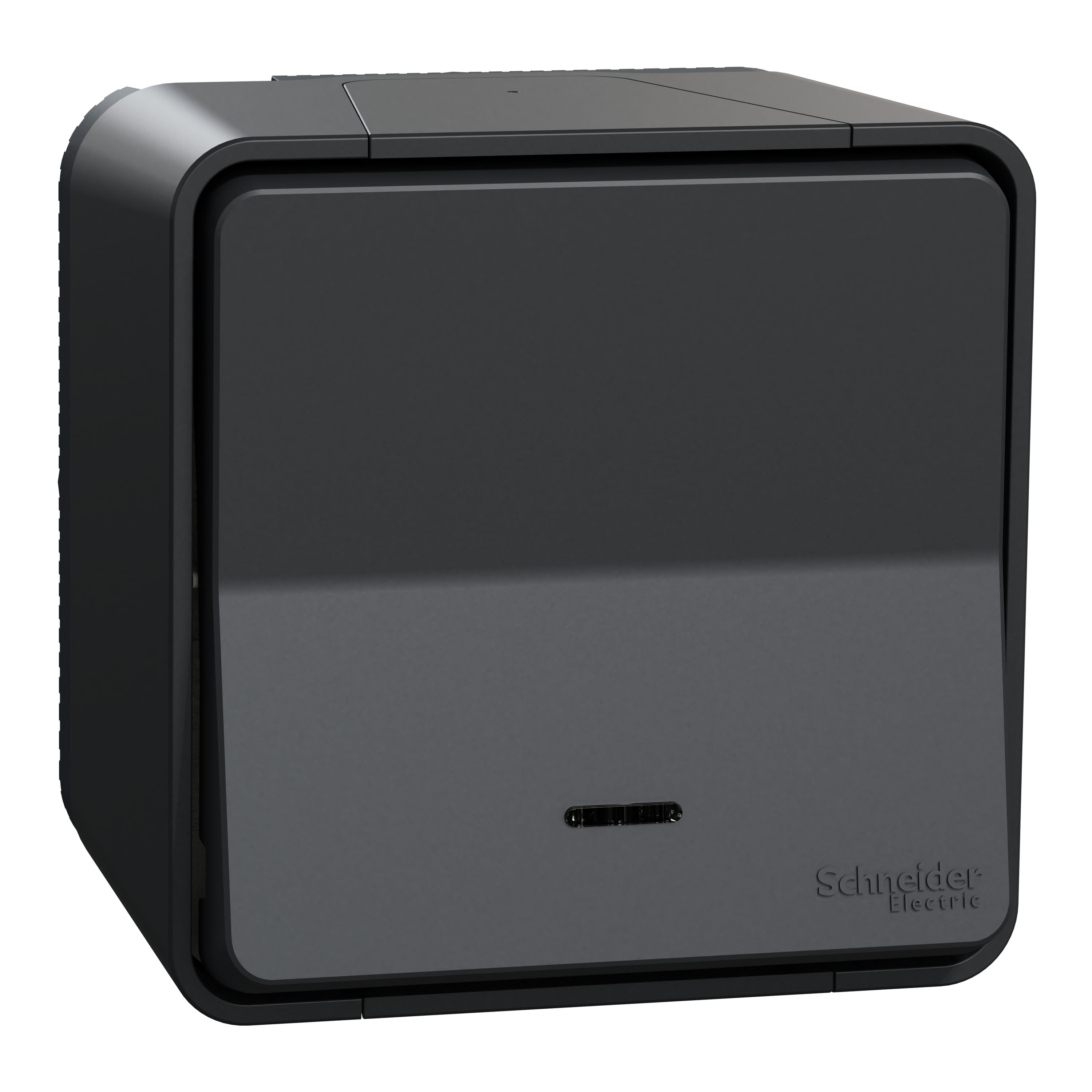 Schneider Electric - Reconditionné - MurevaStyl Va et vient lumineux LED saillie -IP55 IK08 auto gris