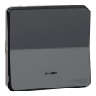 Schneider Electric - Reconditionné - Mureva Styl Va et vient lumineuxLED -compos. IP55 IK08 auto gris