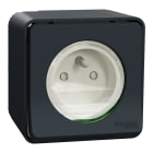 Schneider Electric - Reconditionné -MurevaStyl Prise courant 2P+T saillie IP55 IK08 connex. auto gris