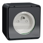 Schneider Electric - Reconditionné - Mureva Styl - Prise de courant 2P+T à vis saillie IP55 IK08 gris