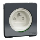 Schneider Electric - Reconditionné - Mureva Styl - Prise de courant 2P+T - compo. IP55 IK08 auto gris