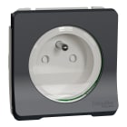 Schneider Electric - Reconditionné - Mureva Styl - Prise de courant 2P+T à vis compos. IP55 IK08 gris
