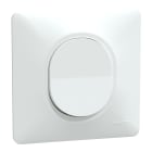 Schneider Electric - Reconditionné - Ovalis - inter va et vient - 10AX - Blanc - griffe - avec plaque