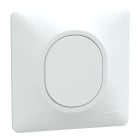 Schneider Electric - Reconditionné - Ovalis - obturateur - Blanc - griffes montées - avec plaque