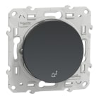Schneider Electric - Reconditionné - Odace - poussoir à fermeture - anthracite - 10A