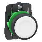 Schneider Electric - Harmony XB5 - bouton poussoir blanc - plastique à vis - rap à ressort - Push In