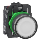 Schneider Electric - Harmony XB5 bt-pous lumineux blanc Ø22 - impulsion - 24V - 1O+1F - Push In