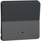 Schneider Electric - Mureva Styl - Enjoliveur avec lentille - IP55 - IK08 - gris