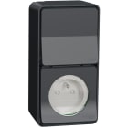 Schneider Electric - Mureva Styl - Prise courant 2P+T+va et vient verti. - saillie - IP55 IK08 - gris